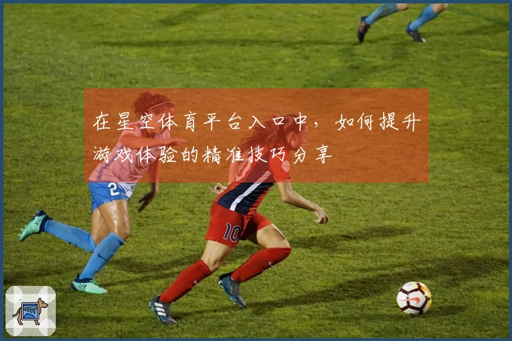 在星空体育平台入口中，如何提升游戏体验的精准技巧分享