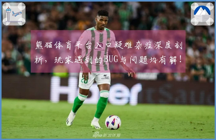熊猫体育平台入口疑难杂症深度剖析，玩家遇到的BUG与问题均有解！